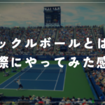 アガシ、ロディックもピックルボール！話題のピックルボールとは？実際にやってみた感想